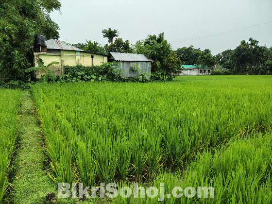 ৬ শতাংশ জমি বিক্রিয় হবে।